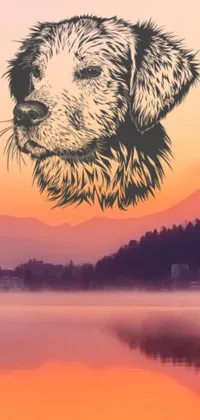 This phone live wallpaper features a detailed vector art depiction of a furry dog relaxing in water, backed by a scenic mountain sunrise