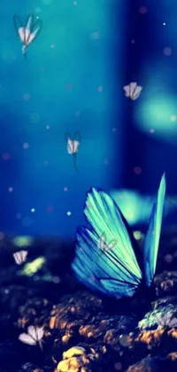 This stunning live phone wallpaper features a charming blue butterfly resting on a dirt ground against a digital art background