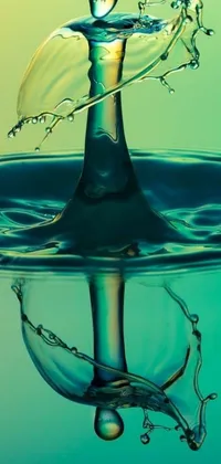 This live wallpaper is a beautiful depiction of a water droplet suspended in the foliage