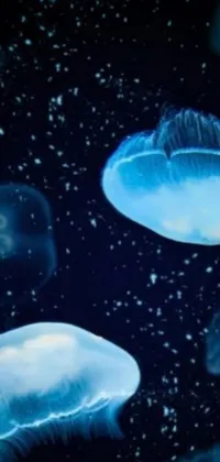Looking for a stunning live wallpaper for your phone? Check out this underwater scene featuring jellyfish floating in the water