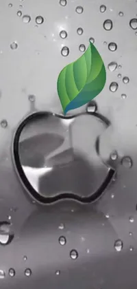 Looking for a stylish and captivating live wallpaper for your phone? Look no further than this stunning digital rendering of the iconic apple logo on a wet surface, set against a backdrop of lush green leaves