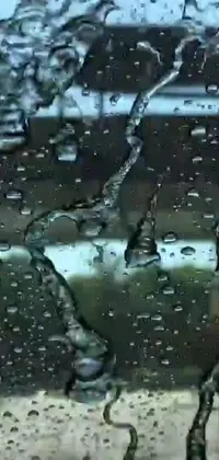 Add a touch of serenity to your phone's wallpaper with this stunning video art featuring a rain-drenched window