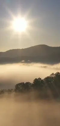 Enjoy the breathtaking beauty of a serene valley with this phone live wallpaper