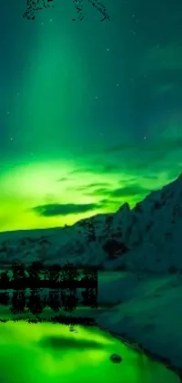 This live phone wallpaper depicts a mesmerizing green aurora borealis over still waters