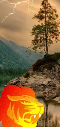 Nature Water Orange Live Wallpaper
