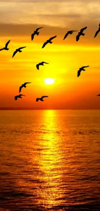 This phone wallpaper showcases a flock of birds flying over the ocean during a beautiful sunset
