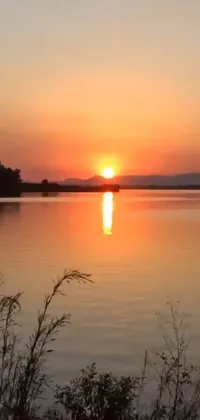 This stunning phone live wallpaper features a beautiful body of water with a gorgeous sunset in the background