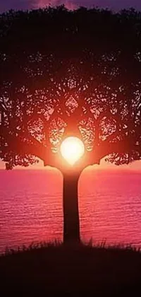 This live wallpaper features a beautiful tree against a setting sun, with a glowing portal emanating love and enlightenment