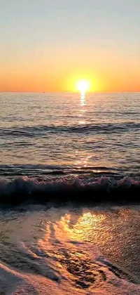 Enjoy the beautiful sunset over the ocean with this stunning live wallpaper