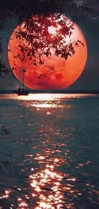 This phone live wallpaper showcases a breathtaking full moon rising over calm waters