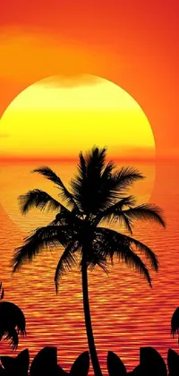 This live wallpaper features a picturesque sunset over a body of water with swaying palm trees and a digital art style