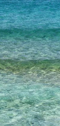 Nature Water Outdoor Live Wallpaper