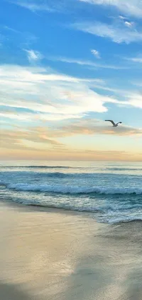 This phone live wallpaper features a serene scene of a bird flying over the ocean at sunset on a beach
