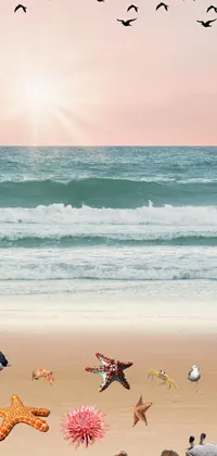 This live wallpaper features a beautiful beach scene with birds and a starfish