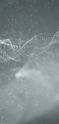Nature Water Outdoor Live Wallpaper