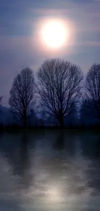 This mobile live wallpaper showcases a serene, mysterious scenery with tall trees and peaceful water body