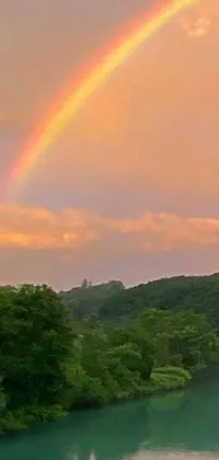 This stunning phone live wallpaper showcases a rainbow in the sky above a peaceful body of water