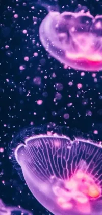 Dive into the underwater world with our mesmerizing Jellyfish Live Wallpaper! This digital art masterpiece, created from a stunning microscopic photo, features a group of jellyfish floating calmly on the water's surface