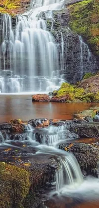 This phone live wallpaper boasts a captivating waterfall amidst a lush green forest, ideal for nature enthusiasts