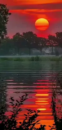 This live wallpaper features a breathtaking sunset over a serene body of water, with warm hues of red and orange painted across the sky