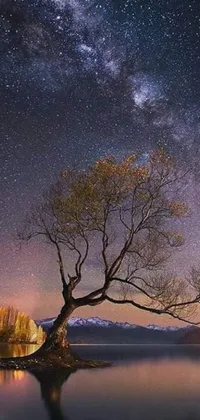 This night sky phone live wallpaper showcases a picturesque tree standing on the edge of a calm lake