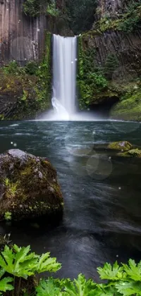 This live wallpaper features a stunning 4K resolution of a waterfall flowing through a lush green forest