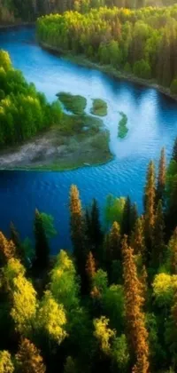 Feast your eyes on this mesmerizing live wallpaper on your phone, featuring a picturesque river flowing through a lush green forest