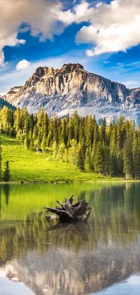This stunning live wallpaper features a serene lake, bordered by a beautiful mountain range and a lush green meadow