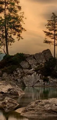 This mobile live wallpaper displays an idyllic scene of a tree on top of a rocky formation, adjacent to a placid body of water