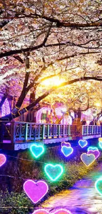 This live wallpaper features glowing lights on the riverside, surrounded by lush sakura trees, creating a romantic atmosphere