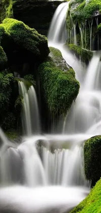 This phone live wallpaper showcases a beautiful waterfall meandering through a green forest