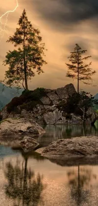 Enjoy the serene beauty of nature on your phone with this stunning live wallpaper