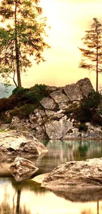 This live wallpaper features a serene image of a body of water with trees on either side and a couple of trees sitting atop a rock in the foreground