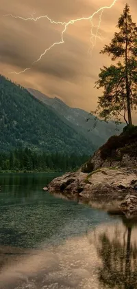 This gorgeous live wallpaper showcases a towering tree resting on top of a rock alongside a serene body of water