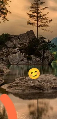 Looking for a charming phone live wallpaper? This one features a delightful smiling face on a rock by a tranquil lake with mountains, a river, and trees in the distance