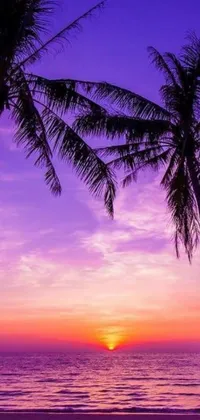 This phone live wallpaper features palm trees on a sandy beach with a colorful purple sunset adding a pop of color to the tranquil and serene scenery