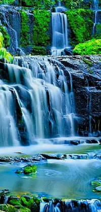 Nature Water Plant Live Wallpaper