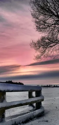This live wallpaper for your mobile phone features a wooden fence in a snow-covered field set against a beautiful and colorful sky