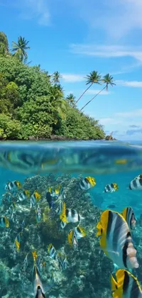 This live phone wallpaper features a school of tropical fish swimming in clear blue waters, set against a Polynesian-style island paradise