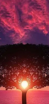 This phone live wallpaper features a beautiful tree against a stunning sunset, with elements of psychedelic art visible in the large red energy sphere and intricate ornament halo
