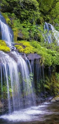 Make your phone feel like an escape to nature with this live wallpaper featuring a lush green forest with a majestic waterfall