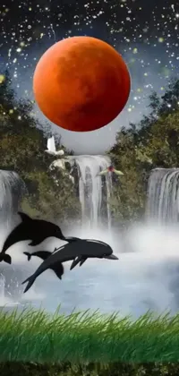 This stunning live wallpaper for your phone features two majestic dolphins jumping in front of a full moon during a blood moon eclipse