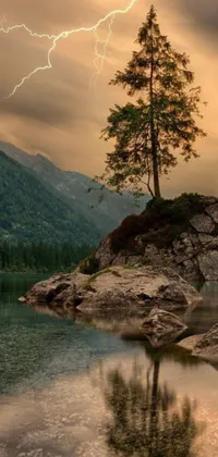 This phone live wallpaper showcases a splendid view of a picturesque tree on a rock beside a tranquil body of water