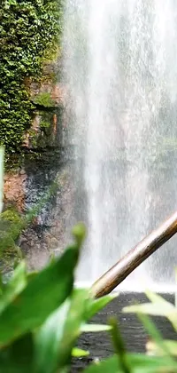 This phone wallpaper depicts a picturesque waterfall in the background and features a man standing in the foreground admiring the view