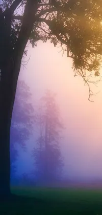 Bring the beauty of nature to your phone with this vivid live wallpaper