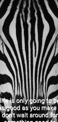 This live wallpaper depicts a monochromatic photo of a zebra with an op-art inspired background