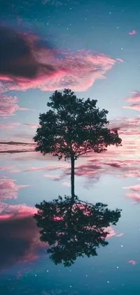 This mesmerizing live wallpaper features a breathtaking tree standing in water that is sure to turn any phone into a tranquil oasis