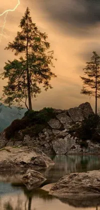 This phone live wallpaper features a picturesque tree and rock sculpture beside a serene body of water, with a breathtaking landscape view of pine forest, lightning and moss-covered rocks
