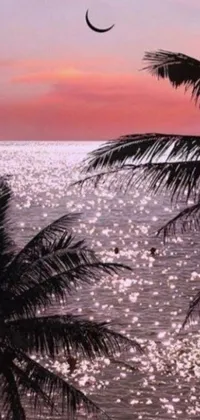Enhance your phone's home screen with this stunningly romantic live wallpaper featuring two palm trees by a tranquil body of water