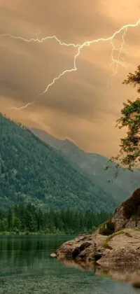 "Experience the beauty and power of nature with this breathtaking live wallpaper featuring a tree atop a rock next to a body of water